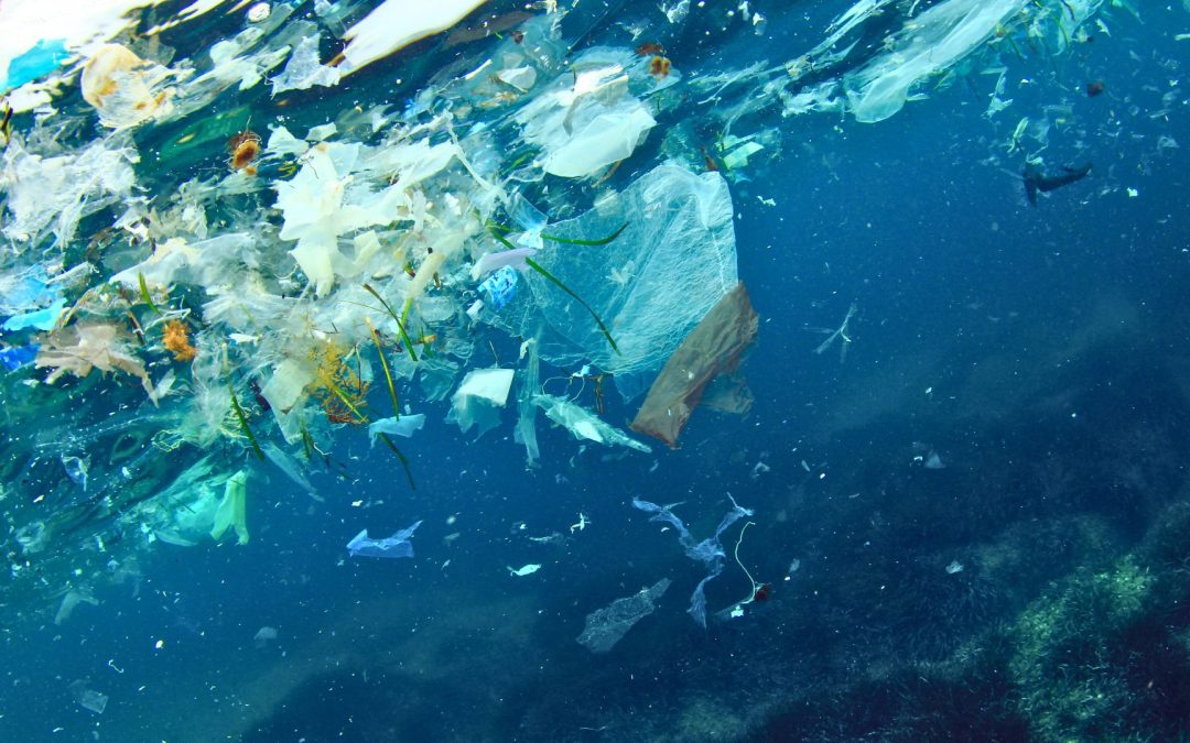 Earth Day_Ocean Plastic
